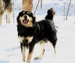 � ������� ����������� ����� ������ ������ �����-������������ ���������